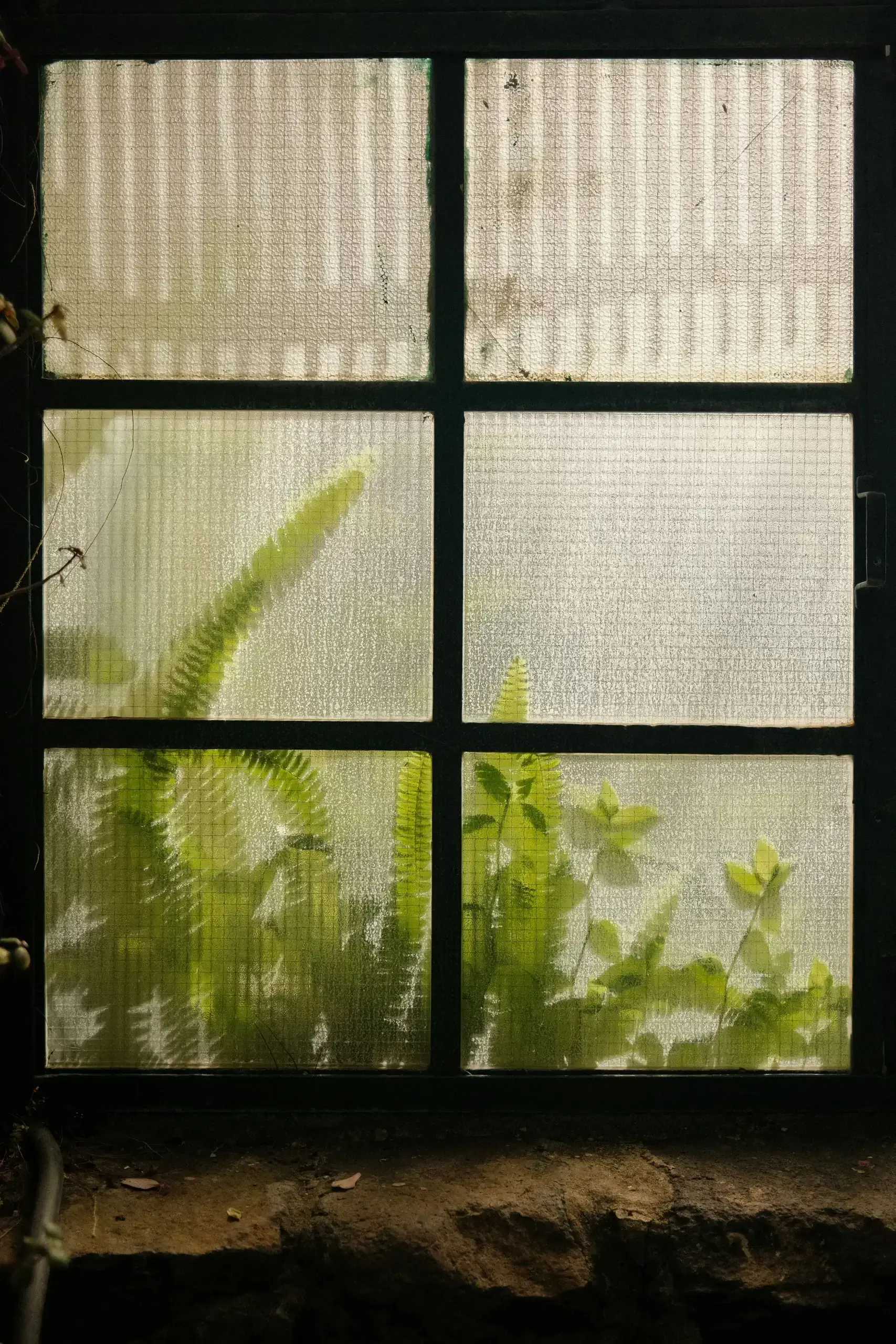 Flyscreens